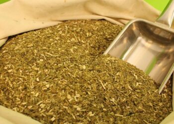 CONTINÚA BAJO EL INGRESO DE MATERIA PRIMA DE YERBA MATE