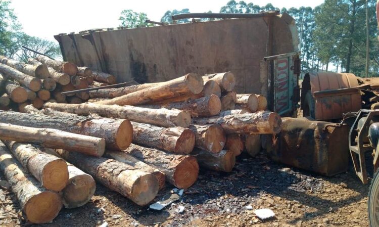 PUDO SER UNA TRAGEDIA: CAMIÓN CON ROLLOS VOLCÓ EN EL CASCO URBANO DE VIRASORO