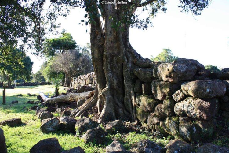 CONCRETAN LA CREACIÓN DE “CÁMARA DE TURISMO DEL CORREDOR JESUÍTICO GUARANÍ”