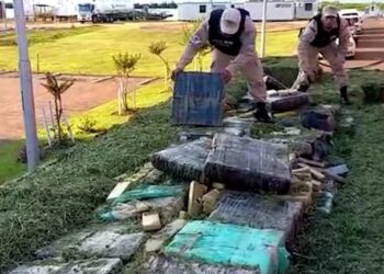 CAYÓ CAMIONERO QUE COBRÓ 5 MILLONES DE PESOS POR TRANSPORTAR 5 TONELADAS DE MARIHUANA