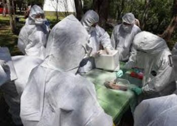 EN LA COSTA DEL  URUGUAY HAY ALERTA POR FIEBRE AMARILLA