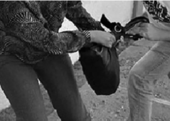 ATACAN Y GOLPEAN A UNA MUJER CON FINES DE ROBO SOBRE RUTA 94