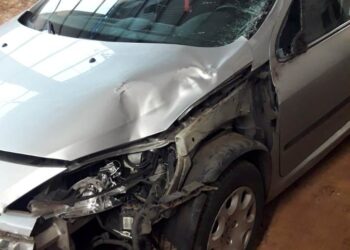 VOLVÍAN DE VACACIONES Y CASI TERMINA EN TRAGEDIA – CHOCARON UN CABALLO EN VIRASORO