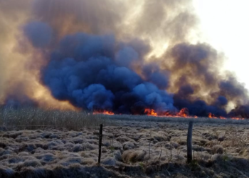 BRIGADAS ANTI INCENDIOS DE SANTO TOMÉ COMBATEN FOCO ÍGNEO EN ZONA AGUAPEÍ