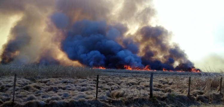 BRIGADAS ANTI INCENDIOS DE SANTO TOMÉ COMBATEN FOCO ÍGNEO EN ZONA AGUAPEÍ