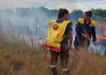 DOS PERSONAS SERÍAN LAS QUE INICIARON INCENDIOS INTENCIONALES SOBRE RUTA 94
