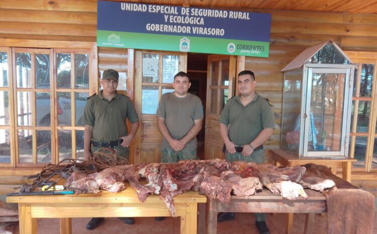 ABIGEATO, HURTOS Y VANDALISMO EN VIRASORO