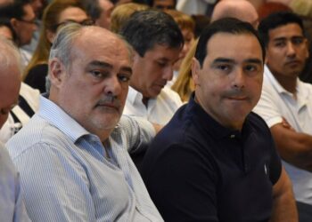 CONVENCIÓN DE LA UCR DEFINE ALIANZAS NACIONALES, PROVINCIALES Y COMUNALES