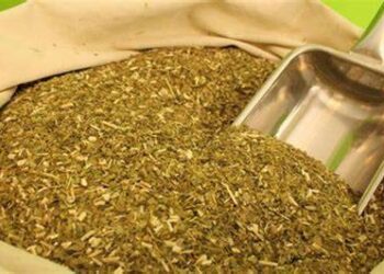 YERBATEROS PIDEN EXPORTAR CON “DÓLAR AGRO” COMPROMETIÉNDOSE AL ABASTECIMIENTO DEL MERCADO INTERNO