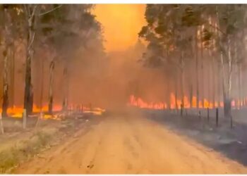 INCENDIOS: ALERTA AMARILLA – LLAMAN A TOMAR PRECAUCIONES