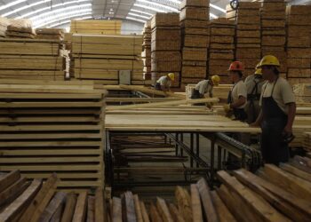 CORRIENTES CONTINÚA SU CRECIMIENTO RÉCORD DE EMPLEO PRIVADO REGISTRADO