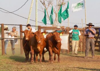 COMENZÓ LA 29° EDICIÓN DE LA EXPOSICIÓN RURAL DE VIRASORO