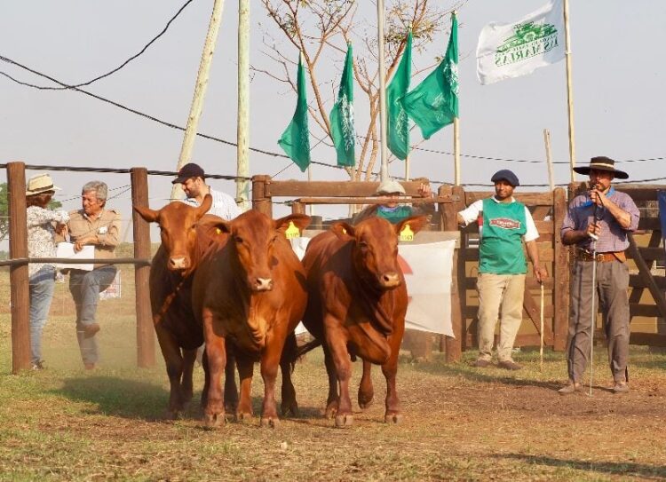 COMENZÓ LA 29° EDICIÓN DE LA EXPOSICIÓN RURAL DE VIRASORO