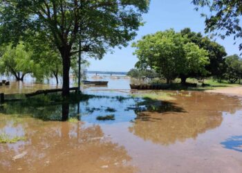 ALIVIO, MEJORA LA SITUACIÓN HÍDRICA Y EL COMPORTAMIENTO DE LOS RIOS URUGUAY Y PARANÁ