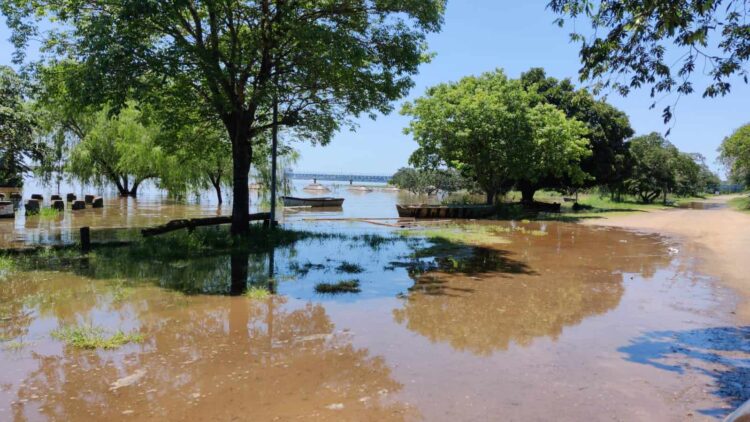 ALIVIO, MEJORA LA SITUACIÓN HÍDRICA Y EL COMPORTAMIENTO DE LOS RIOS URUGUAY Y PARANÁ