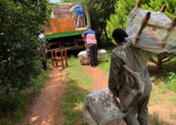 EL RÍO URUGUAY SUPERÓ LOS 16 METROS EN SANTO TOMÉ – ASISTENCIA A FAMILIAS AFECTADAS