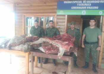 EN VIRASORO DETIENEN A INDIVIDUO CON CARNE DE DUDOSA PROSEDENCIA