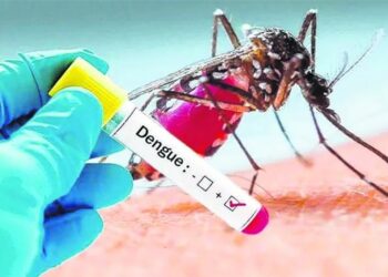 DENGUE: CORRIENTES COMPRARÁ VACUNAS, LO AFIRMÓ EL MINISTRO CARDOZO