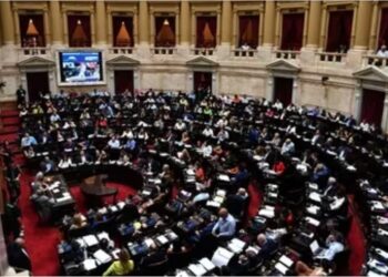 DIPUTADA RADICAL HABLÓ DE IMPERICIA, SOBERBIA Y DESCONOCIMIENTO – CRITICÓ LAS AMENAZAS DE MILEI LUEGO DE QUE CAYERA LA LEY