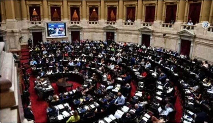 DIPUTADA RADICAL HABLÓ DE IMPERICIA, SOBERBIA Y DESCONOCIMIENTO – CRITICÓ LAS AMENAZAS DE MILEI LUEGO DE QUE CAYERA LA LEY