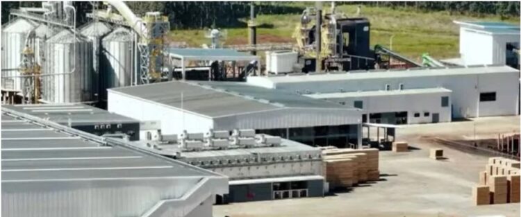 EN VIRASORO, VALDÉS INAUGURÓ LA PLANTA PROCESADORA DE MADERA MÁS GRANDE DEL PAÍS